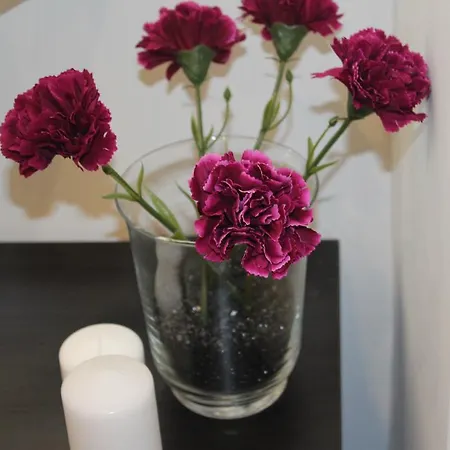 Heart Santa Marta * 리스본