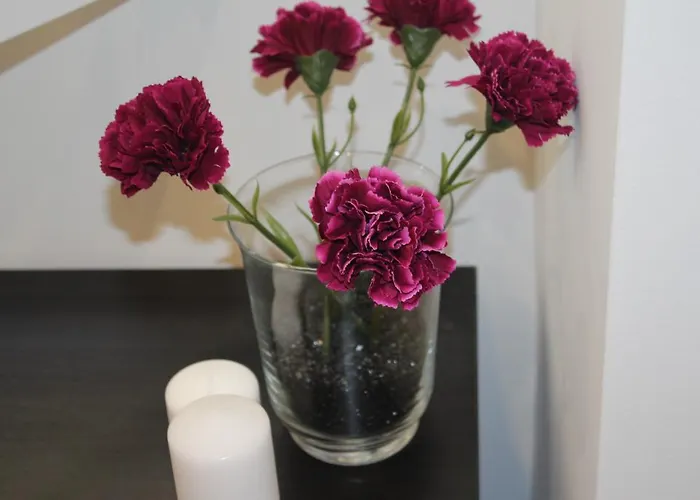 Heart Santa Marta * Lisboa