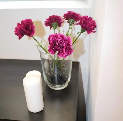 Heart Santa Marta Apartman *